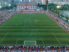 坂本花织遗,憾告别世锦,赛四冠王,胜利体育,彩票平台,在线投注,快速开奖,彩票分析