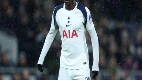 十中八九！巨星归来，太阳能否强势逆袭夺冠？